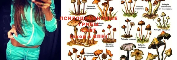 метамфетамин Белокуриха